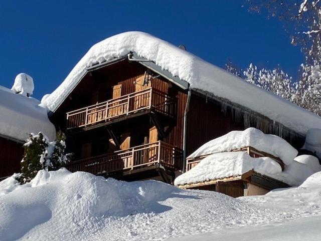 Chalet La Rioule 16 Pers Doucy 外观 照片